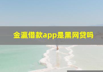 金瀛借款app是黑网贷吗