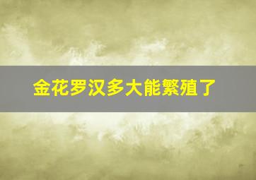 金花罗汉多大能繁殖了