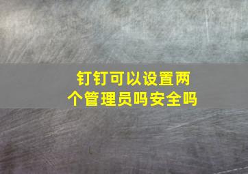 钉钉可以设置两个管理员吗安全吗