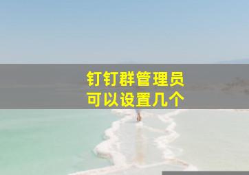 钉钉群管理员可以设置几个