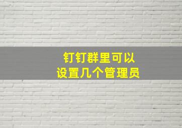 钉钉群里可以设置几个管理员