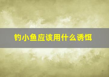 钓小鱼应该用什么诱饵