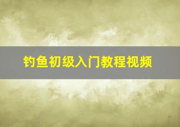 钓鱼初级入门教程视频