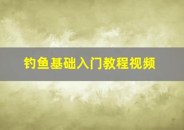 钓鱼基础入门教程视频