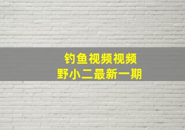 钓鱼视频视频野小二最新一期