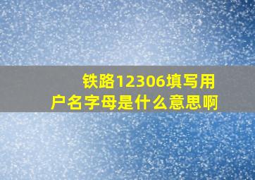 铁路12306填写用户名字母是什么意思啊