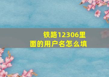 铁路12306里面的用户名怎么填