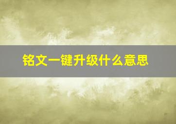 铭文一键升级什么意思