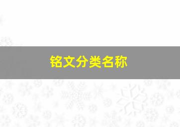 铭文分类名称