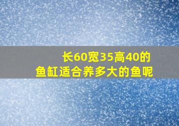 长60宽35高40的鱼缸适合养多大的鱼呢