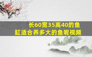 长60宽35高40的鱼缸适合养多大的鱼呢视频