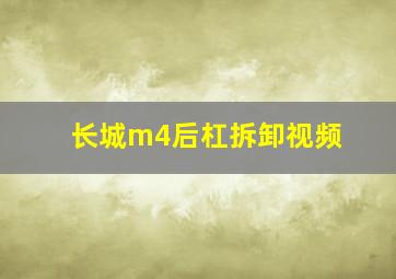 长城m4后杠拆卸视频