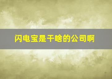 闪电宝是干啥的公司啊