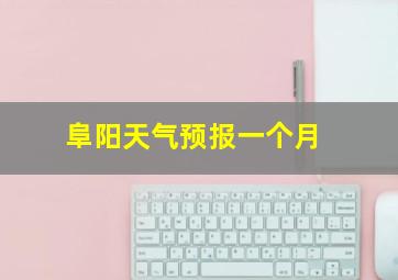 阜阳天气预报一个月