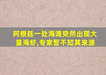 阿根廷一处海滩突然出现大量海虾,专家暂不知其来源