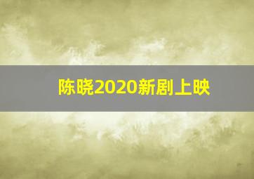 陈晓2020新剧上映