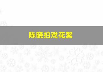 陈晓拍戏花絮