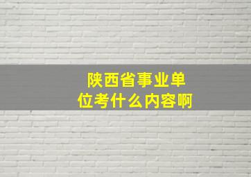 陕西省事业单位考什么内容啊