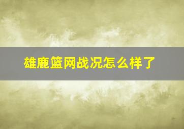 雄鹿篮网战况怎么样了