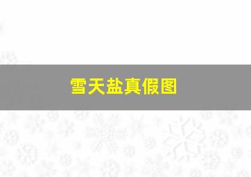 雪天盐真假图