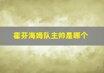 霍芬海姆队主帅是哪个