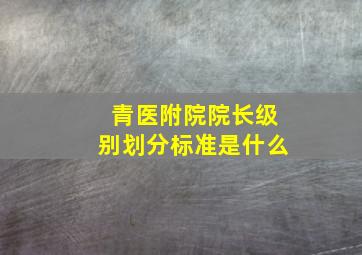 青医附院院长级别划分标准是什么