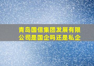 青岛国信集团发展有限公司是国企吗还是私企