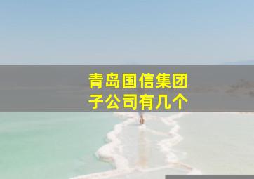 青岛国信集团子公司有几个