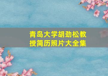 青岛大学胡劲松教授简历照片大全集