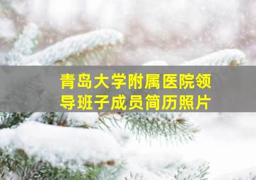 青岛大学附属医院领导班子成员简历照片