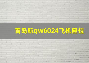 青岛航qw6024飞机座位