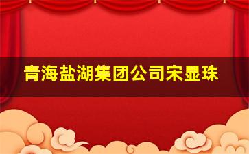 青海盐湖集团公司宋显珠