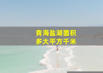 青海盐湖面积多大平方千米