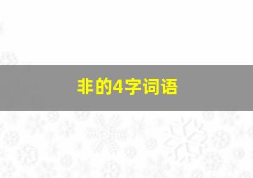 非的4字词语