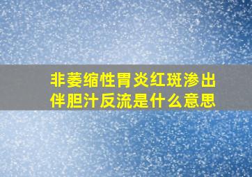 非萎缩性胃炎红斑渗出伴胆汁反流是什么意思