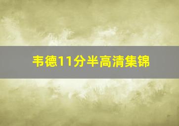 韦德11分半高清集锦