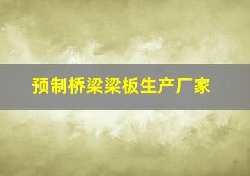 预制桥梁梁板生产厂家