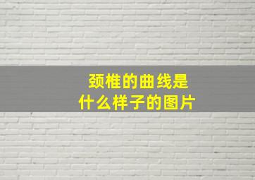 颈椎的曲线是什么样子的图片