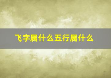 飞字属什么五行属什么