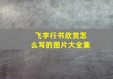 飞字行书欣赏怎么写的图片大全集