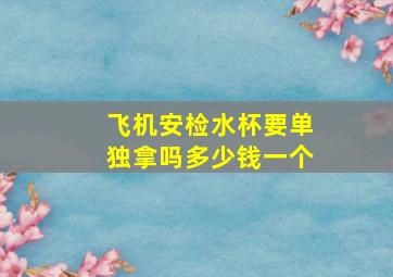 飞机安检水杯要单独拿吗多少钱一个