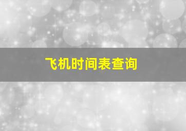 飞机时间表查询