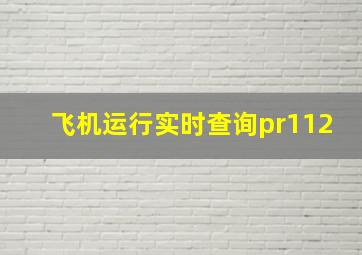 飞机运行实时查询pr112