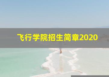 飞行学院招生简章2020