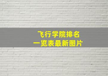 飞行学院排名一览表最新图片