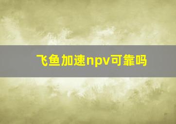 飞鱼加速npv可靠吗