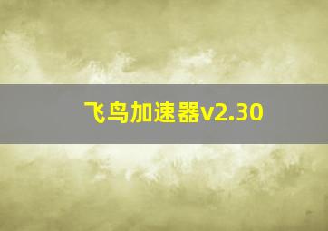 飞鸟加速器v2.30