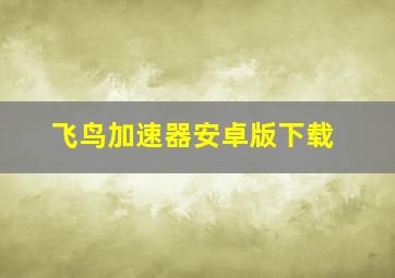 飞鸟加速器安卓版下载