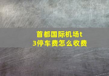 首都国际机场t3停车费怎么收费