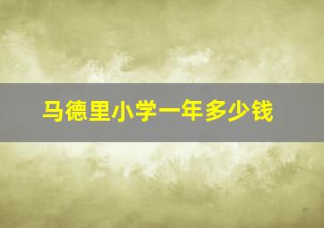 马德里小学一年多少钱